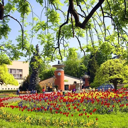 Kocka Vrnjačka Banja